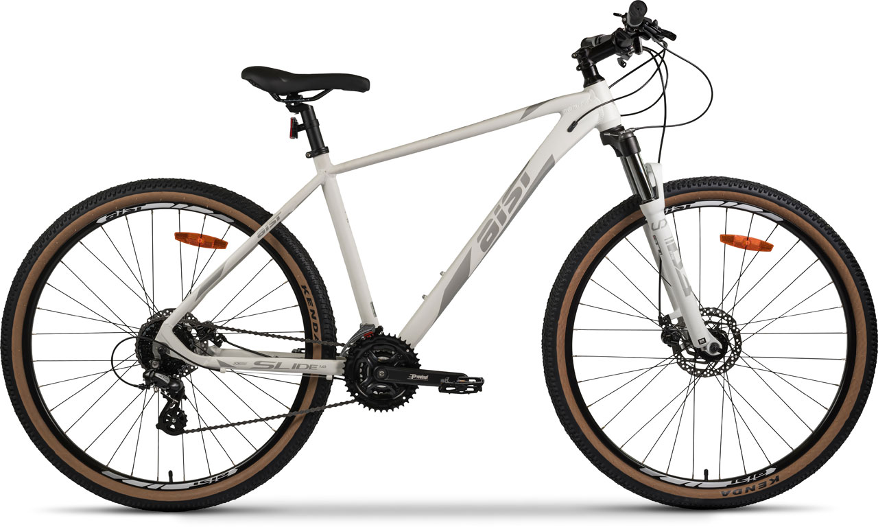 Купить AIST Slide 1.0 29 2025